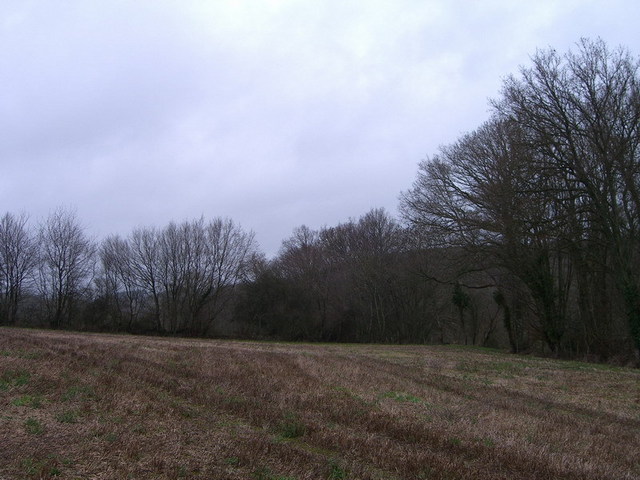 View east / Blick nach Osten