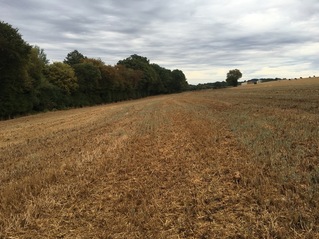 #1: The Confluence from 20 m distance