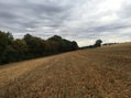 #3: View to the East