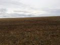 #4: View to the South