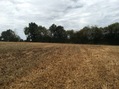 #5: View to the West