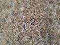 #7: Ground Zero