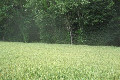 Visit #6: [07-Jun-22]