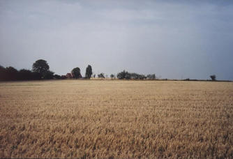 #1: General view of the confluence.