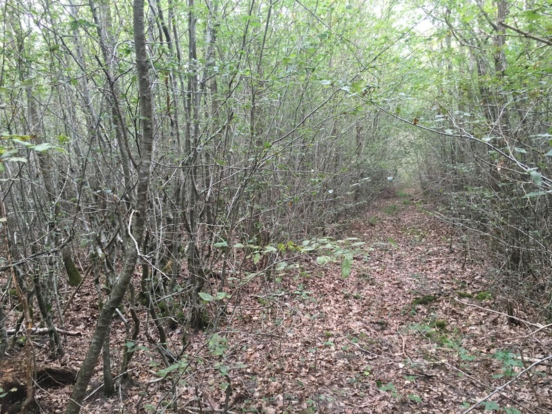 The Confluence from 5 m distance