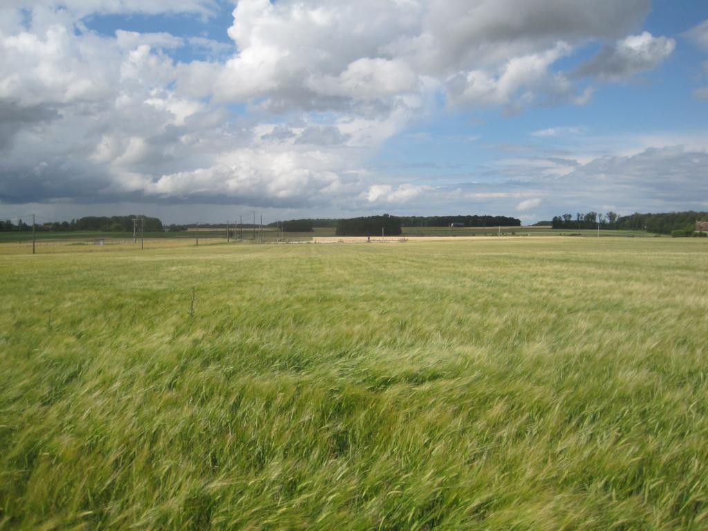 Norden; view north