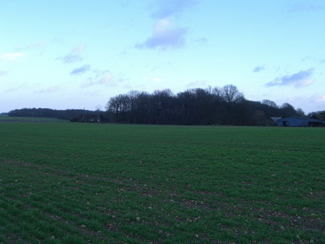 View north / Blick nach Norden