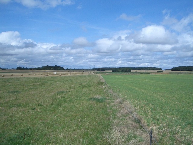 Looking North