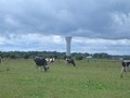 #8: Water tower