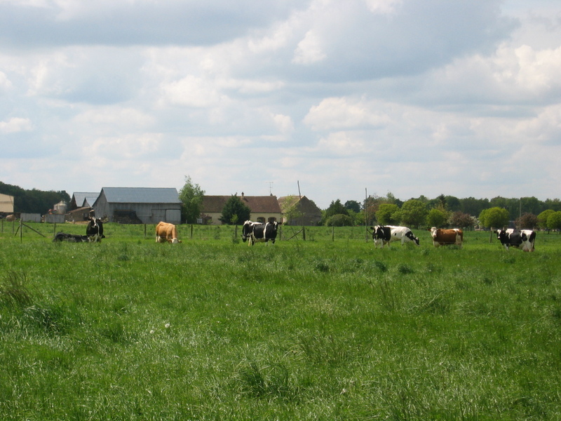 The Occupants of the Confluence