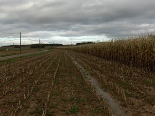 #1: View to north