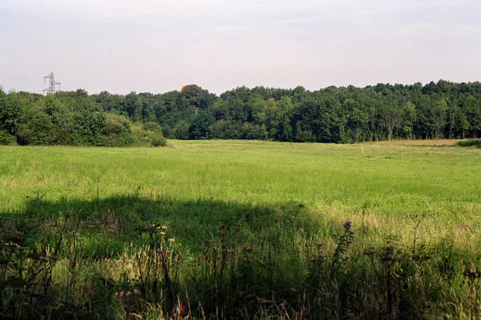 view from the road towards the confluence