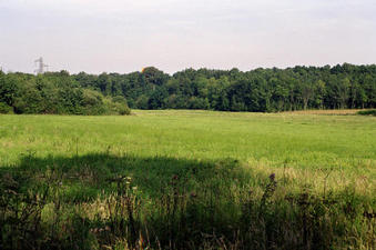 #1: view from the road towards the confluence