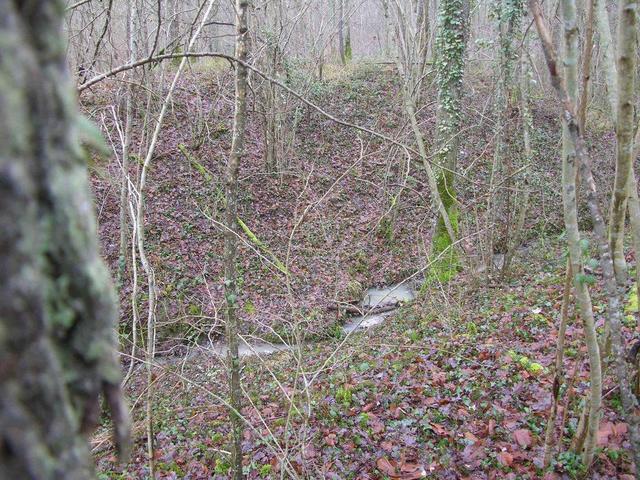 View from the confluence to the north / Blick vom Confluence Punkt nach Norden