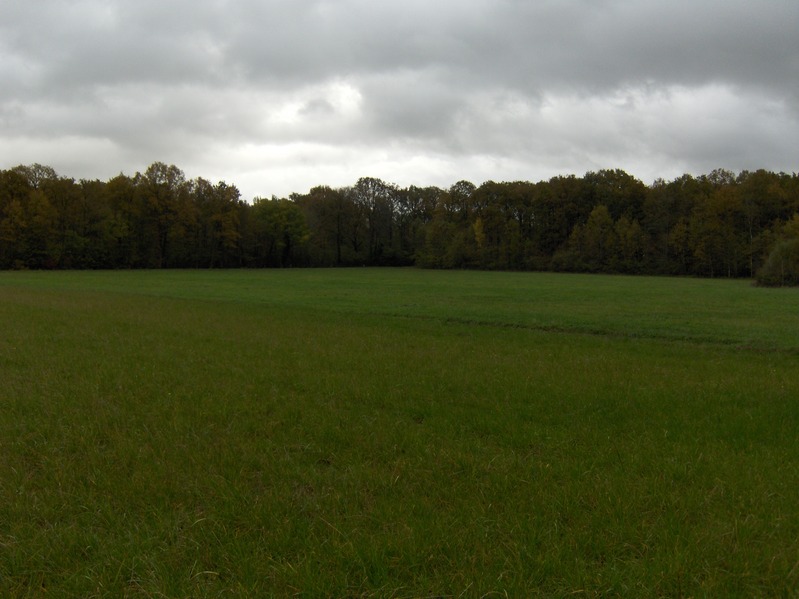 View to south
