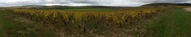 #9: Vineyards at Chablis area not far from of CP