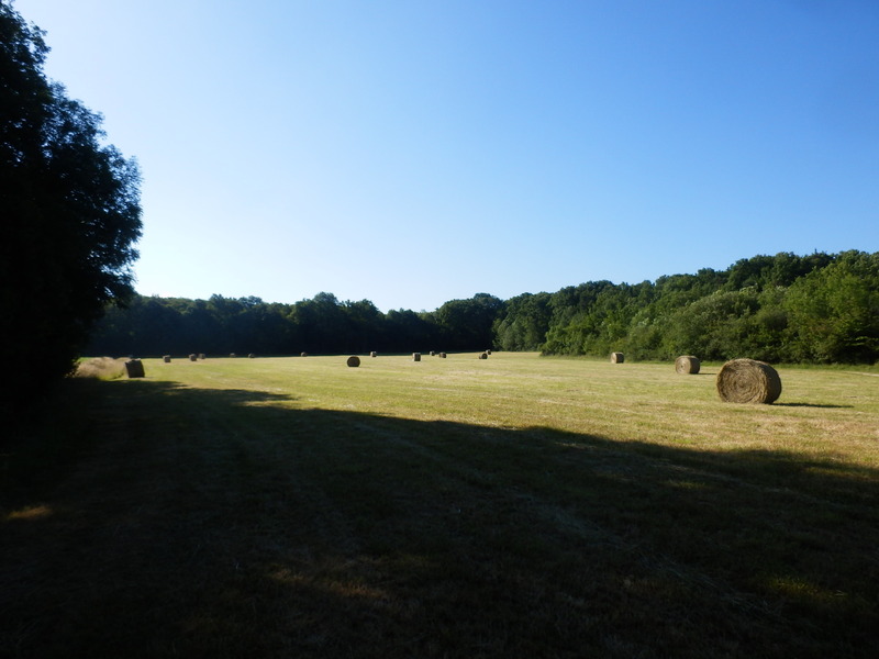 View to the South (from 55 m)