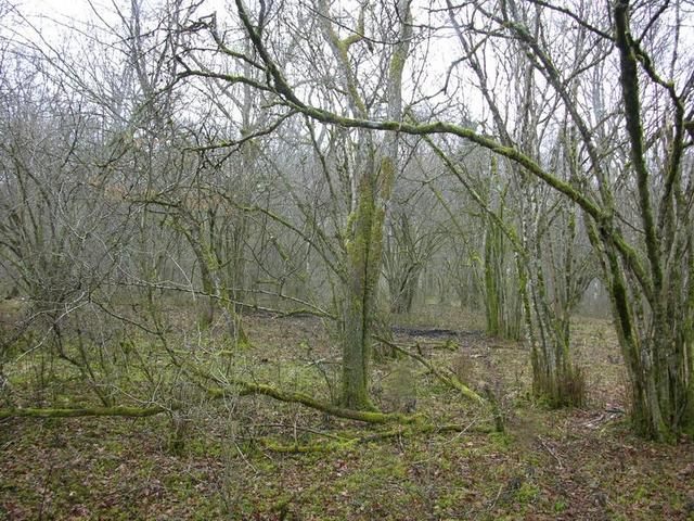 View north / Blick nach Norden