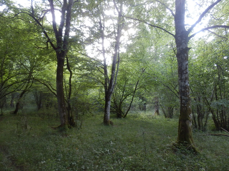 The Confluence from 15 m