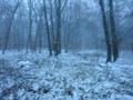 #2: View in western direction / Blick nach Westen