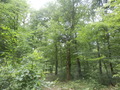 #3: View to the West