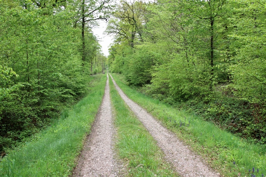 The pathway towards the point