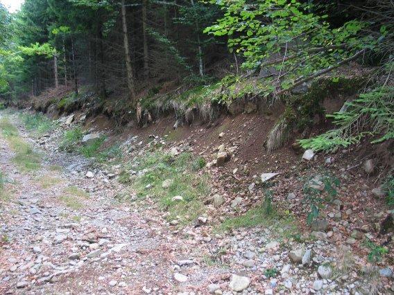 looking south