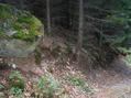 #4: looking west