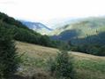 #5: on my way, crossing a meadow. the DCP is far below