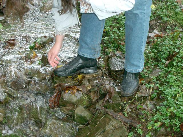 Cleaning of shoes