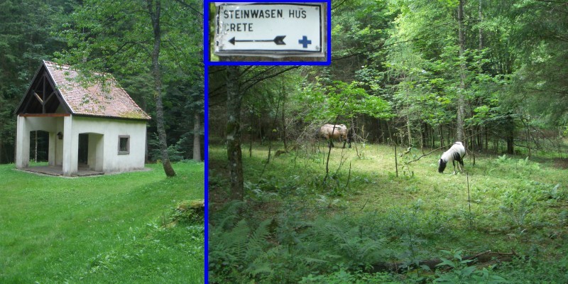 Pass the chapel, turn left at the horses to follow the Steinwasen sign