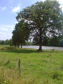 #1: The confluence is at the far end of the lake