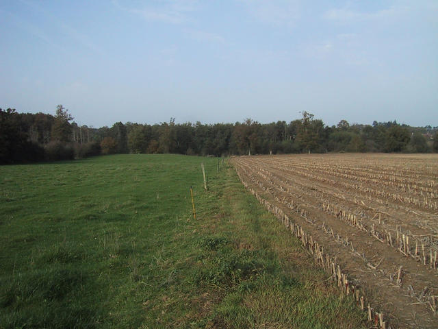 Arriving on the spot, looking north