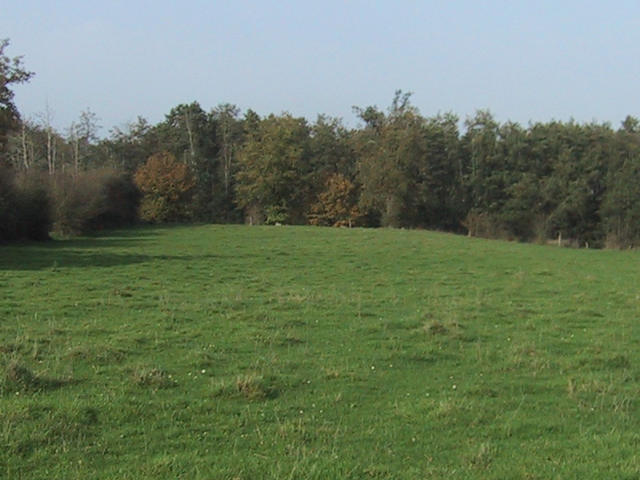 View north from the confluence