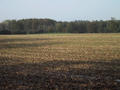 #5: Looking north west towards the confluence