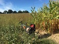 #10: Bicycle parking
