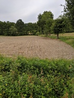 #7: Looking from the road toward the confluence