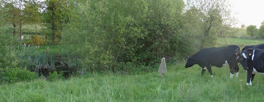 Confluence marked with jacket - view to SW