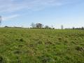 #3: View East