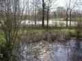 #4: view South