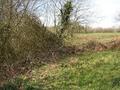 #5: View West