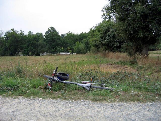 Field