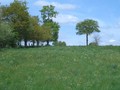 #2: North
