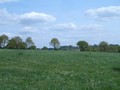 #3: East