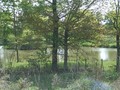 #4: South
