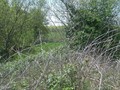 #5: West