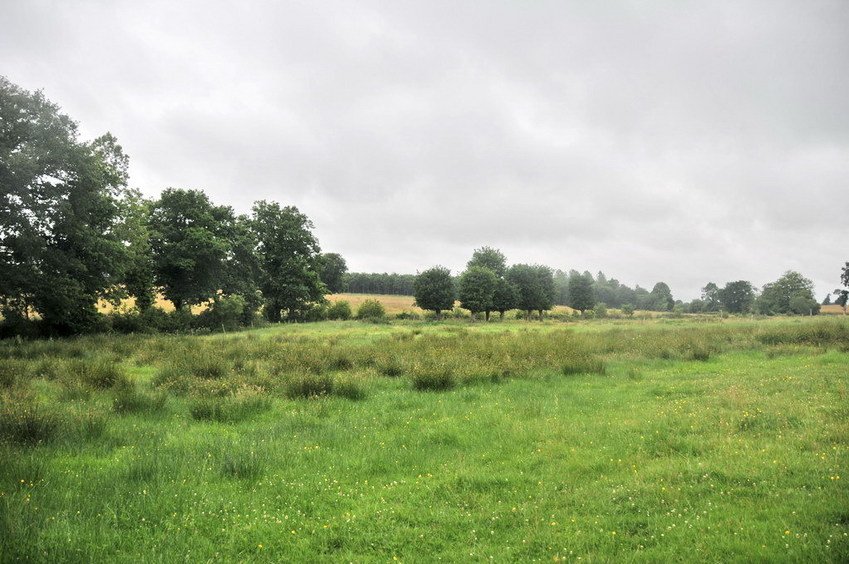 View east / Blick nach Osten