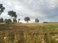 #2: View to the North