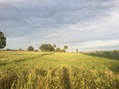 #3: View to the East