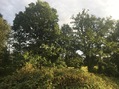 #4: View to the South